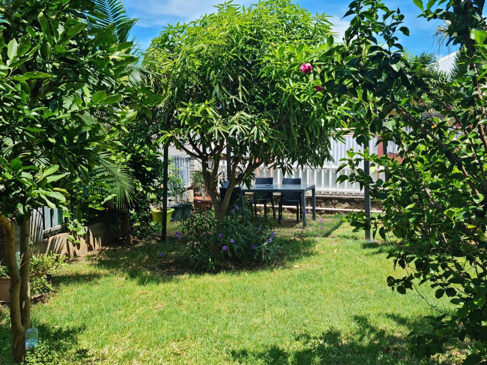 Zoizo Vert - Studio Au Calme Avec Jardin - St Leu Saint-Leu Exteriör bild